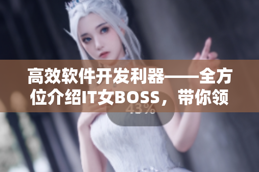 高效軟件開發(fā)利器——全方位介紹IT女BOSS，帶你領(lǐng)略軟件行業(yè)的魅力