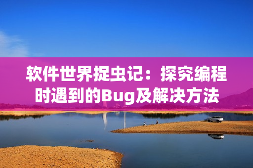 軟件世界捉蟲記：探究編程時(shí)遇到的Bug及解決方法