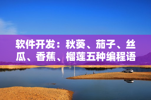 軟件開發(fā)：秋葵、茄子、絲瓜、香蕉、榴蓮五種編程語(yǔ)言的比較和優(yōu)劣 對(duì)比