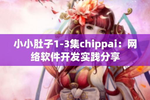 小小肚子1-3集chippai：網絡軟件開發(fā)實踐分享