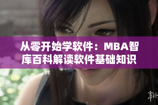 從零開始學軟件：MBA智庫百科解讀軟件基礎知識