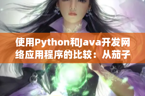 使用Python和Java開發(fā)網(wǎng)絡(luò)應(yīng)用程序的比較：從茄子到向日葵