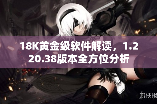 18K黃金級軟件解讀，1.220.38版本全方位分析