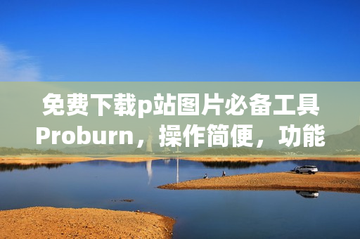 免費下載p站圖片必備工具Proburn，操作簡便，功能實用