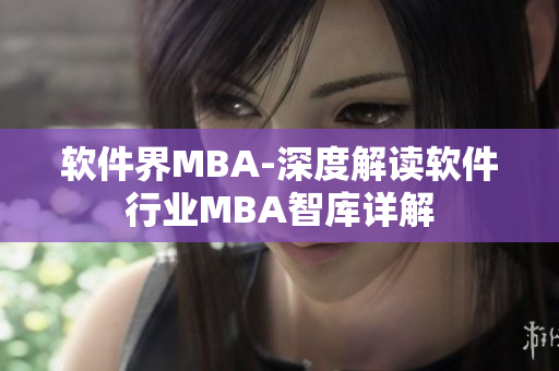 軟件界MBA-深度解讀軟件行業(yè)MBA智庫詳解