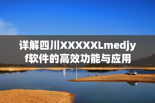 詳解四川XXXXXLmedjyf軟件的高效功能與應(yīng)用