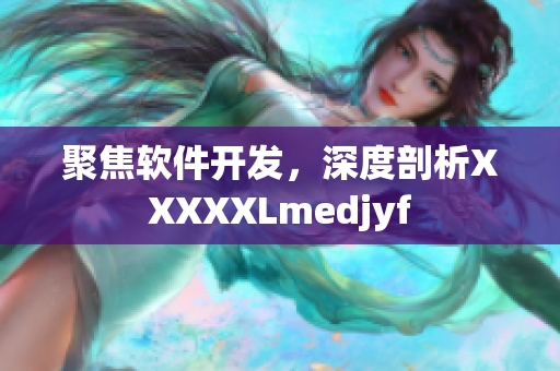 聚焦軟件開發(fā)，深度剖析XXXXXLmedjyf