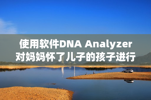 使用軟件DNA Analyzer對媽媽懷了兒子的孩子進行親子鑒定