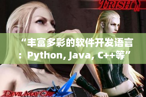 “豐富多彩的軟件開發(fā)語言：Python, Java, C++等”