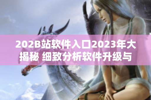 202B站軟件入口2023年大揭秘 細(xì)致分析軟件升級與優(yōu)化步驟