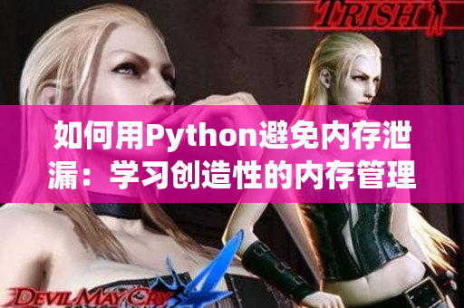 如何用Python避免內(nèi)存泄漏：學習創(chuàng)造性的內(nèi)存管理策略