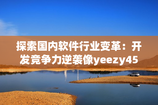 探索國內(nèi)軟件行業(yè)變革：開發(fā)競爭力逆襲像yeezy451