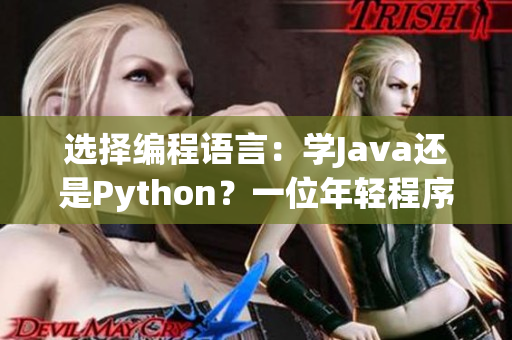 選擇編程語言：學(xué)Java還是Python？一位年輕程序員的抉擇