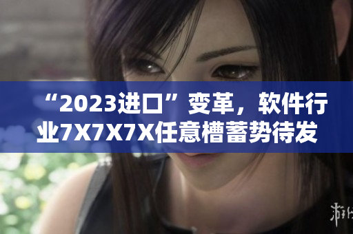 “2023進(jìn)口”變革，軟件行業(yè)7X7X7X任意槽蓄勢待發(fā)