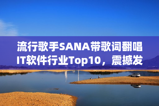 流行歌手SANA帶歌詞翻唱IT軟件行業(yè)Top10，震撼發(fā)布！