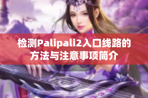 檢測(cè)Palipali2入口線路的方法與注意事項(xiàng)簡(jiǎn)介