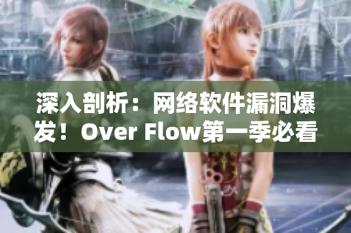 深入剖析：網(wǎng)絡(luò)軟件漏洞爆發(fā)！Over Flow第一季必看！