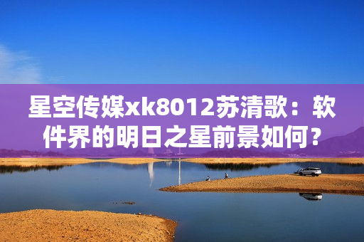 星空傳媒xk8012蘇清歌：軟件界的明日之星前景如何？