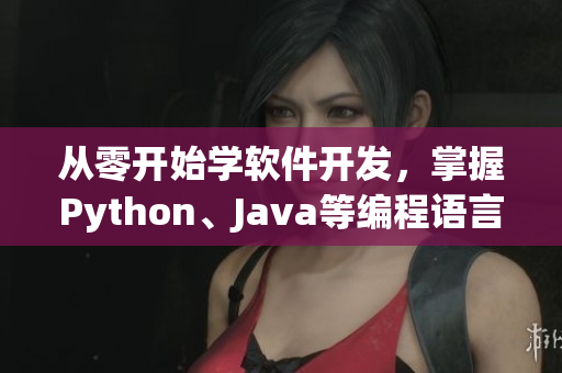 從零開始學軟件開發(fā)，掌握Python、Java等編程語言