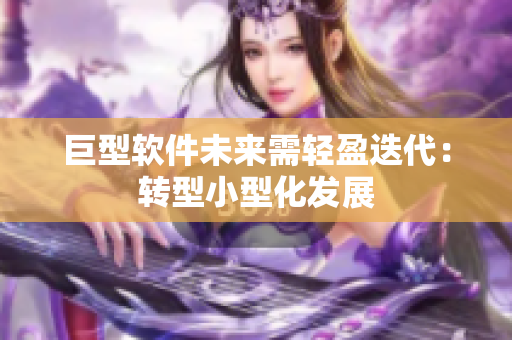 巨型軟件未來需輕盈迭代：轉(zhuǎn)型小型化發(fā)展