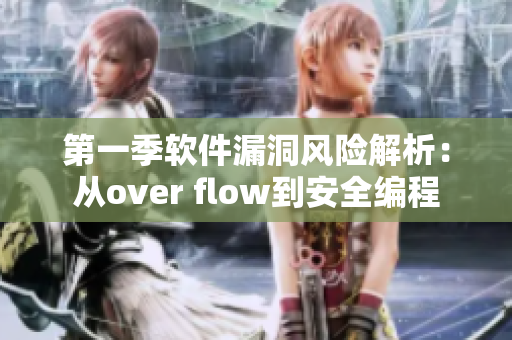 第一季軟件漏洞風險解析：從over flow到安全編程