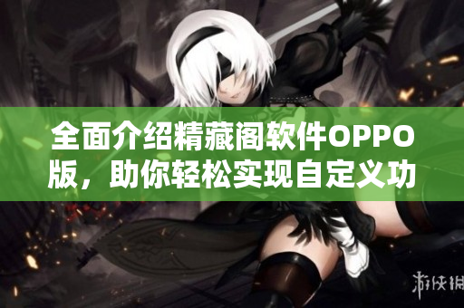 全面介紹精藏閣軟件OPPO版，助你輕松實現(xiàn)自定義功能