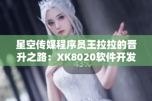 星空傳媒程序員王拉拉的晉升之路：XK8020軟件開發(fā)篇