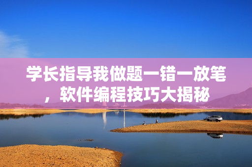 學(xué)長(zhǎng)指導(dǎo)我做題一錯(cuò)一放筆，軟件編程技巧大揭秘