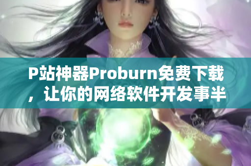 P站神器Proburn免費下載，讓你的網(wǎng)絡軟件開發(fā)事半功倍