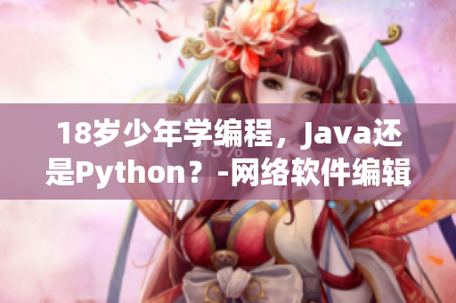 18歲少年學編程，Java還是Python？-網(wǎng)絡軟件編輯探討