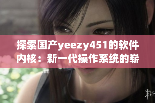 探索國產(chǎn)yeezy451的軟件內(nèi)核：新一代操作系統(tǒng)的嶄新特性