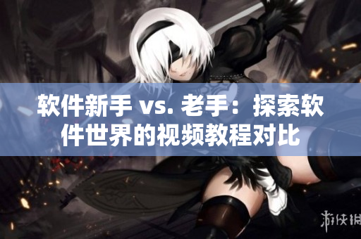 軟件新手 vs. 老手：探索軟件世界的視頻教程對比