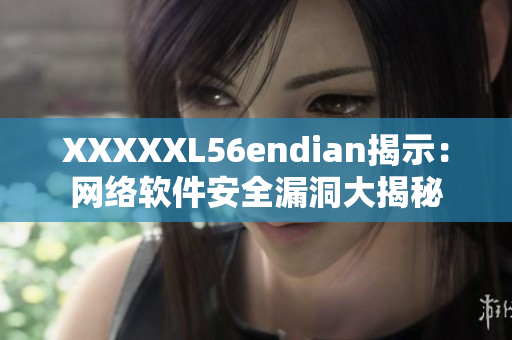 XXXXXL56endian揭示：網(wǎng)絡(luò)軟件安全漏洞大揭秘