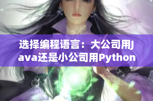 選擇編程語言：大公司用Java還是小公司用Python？