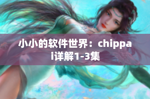 小小的軟件世界：chippai詳解1-3集