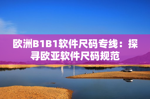 歐洲B1B1軟件尺碼專線：探尋歐亞軟件尺碼規(guī)范