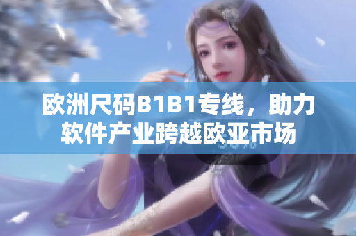 歐洲尺碼B1B1專線，助力軟件產業(yè)跨越歐亞市場