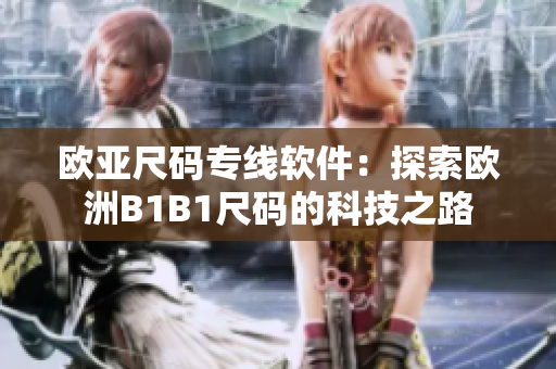 歐亞尺碼專線軟件：探索歐洲B1B1尺碼的科技之路