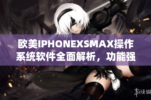 歐美IPHONEXSMAX操作系統(tǒng)軟件全面解析，功能強(qiáng)大體驗(yàn)卓越