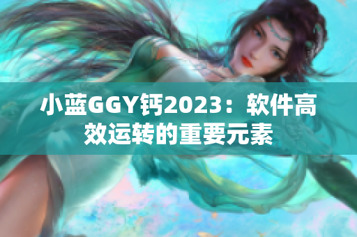 小藍(lán)GGY鈣2023：軟件高效運(yùn)轉(zhuǎn)的重要元素