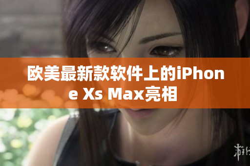 歐美最新款軟件上的iPhone Xs Max亮相 