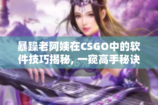 暴躁老阿姨在CSGO中的軟件技巧揭秘, 一窺高手秘訣