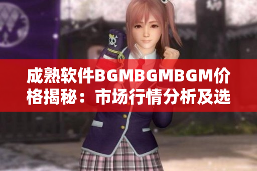 成熟軟件BGMBGMBGM價格揭秘：市場行情分析及選購指南