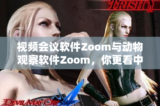 視頻會議軟件Zoom與動物觀察軟件Zoom，你更看中哪一個？