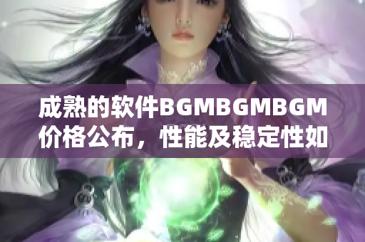 成熟的軟件BGMBGMBGM價(jià)格公布，性能及穩(wěn)定性如何？