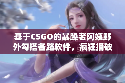 基于CSGO的暴躁老阿姨野外勾搭各路軟件，瘋狂捅破程序瓶頸