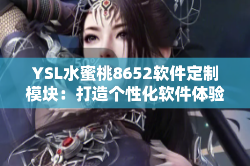 YSL水蜜桃8652軟件定制模塊：打造個性化軟件體驗