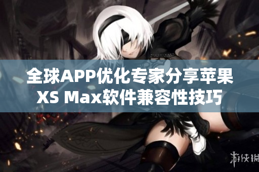 全球APP優(yōu)化專家分享蘋(píng)果XS Max軟件兼容性技巧