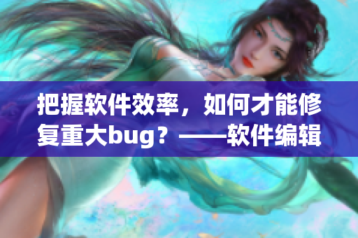 把握軟件效率，如何才能修復(fù)重大bug？——軟件編輯的探討