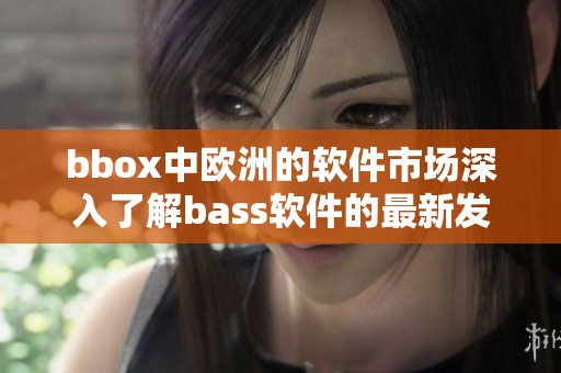 bbox中歐洲的軟件市場深入了解bass軟件的最新發(fā)展